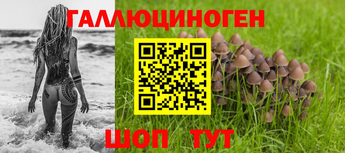 где можно купить   Псилоцибиновые грибы мицелий  Вход с VPN  Златоуст  Галлюциногенные грибы прущие грибы 