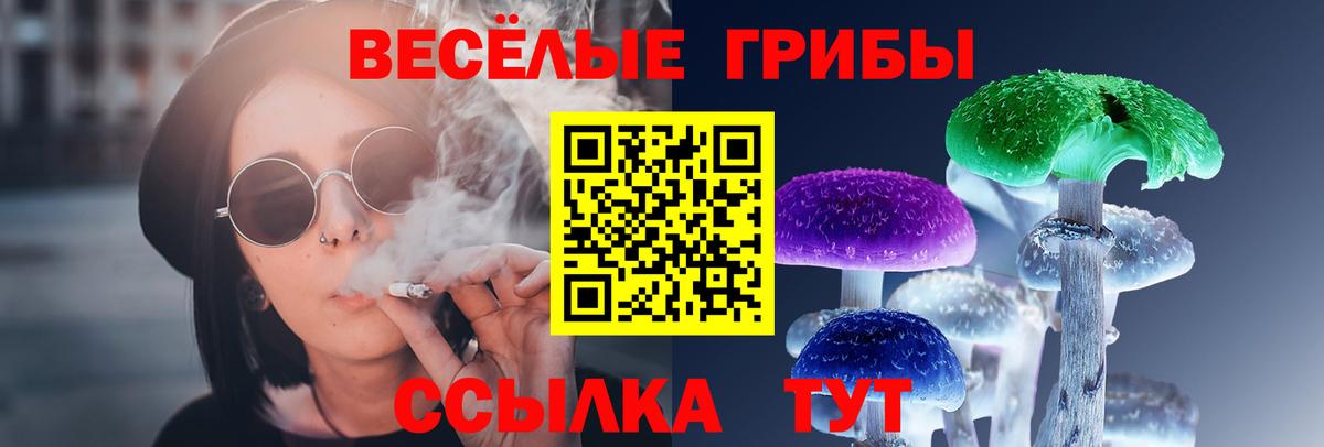 Псилоцибиновые грибы Cubensis Златоуст